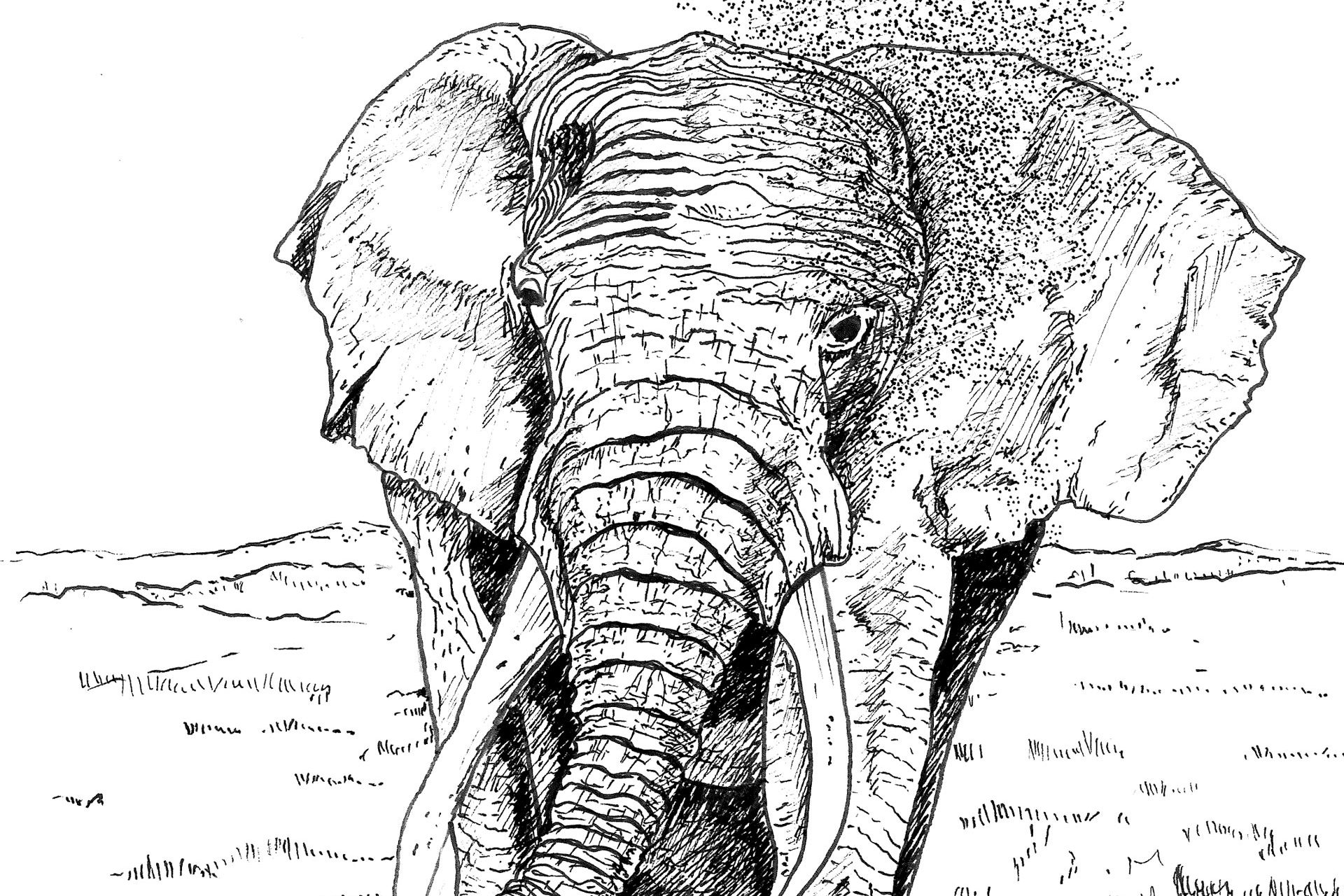 Dessin d'éléphant fait par DenyStal