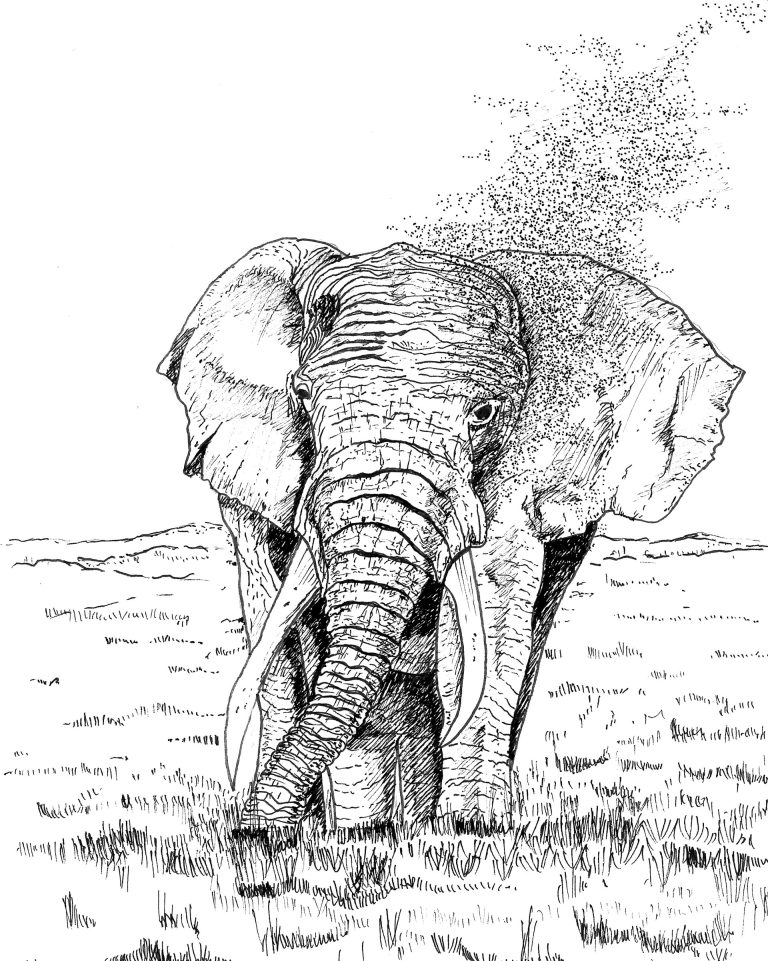 Dessin d'éléphant fait par DenyStal